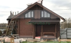 Грибная поляна в Щелковском районе